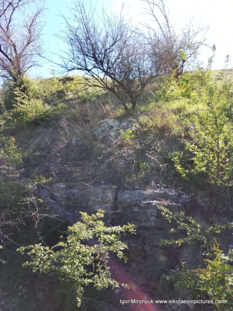 Матвеевские овраги в Николаеве.