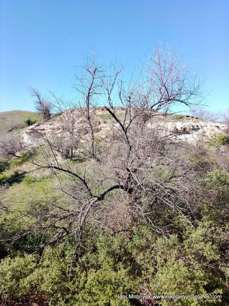 Матвеевские овраги в Николаеве.