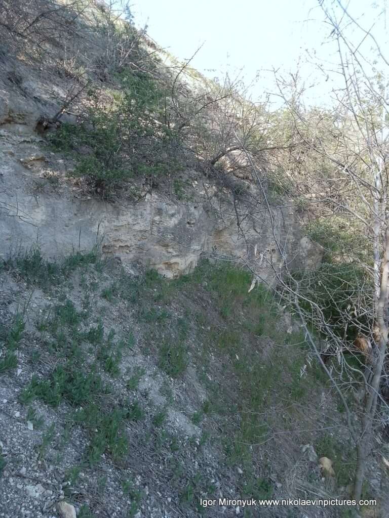 Матвеевские овраги в Николаеве.