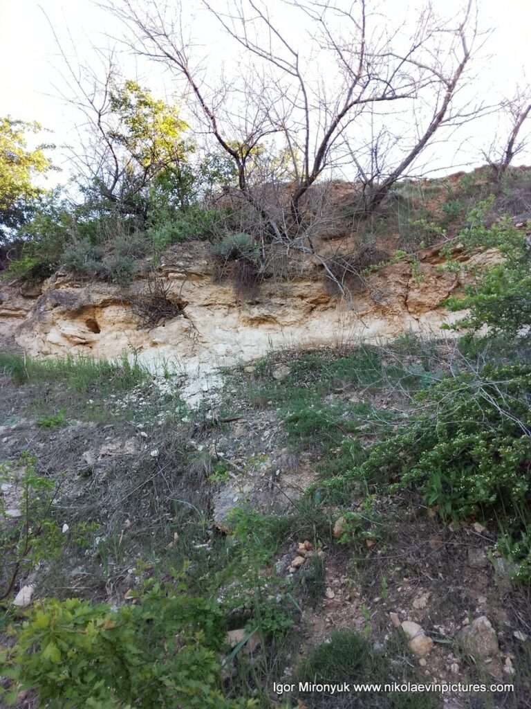 Скала в матвеевском овраге, в Николаеве.