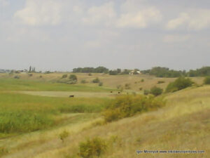 Балка, поле, камыши между Аляудами и Терновкой, в Николаеве.