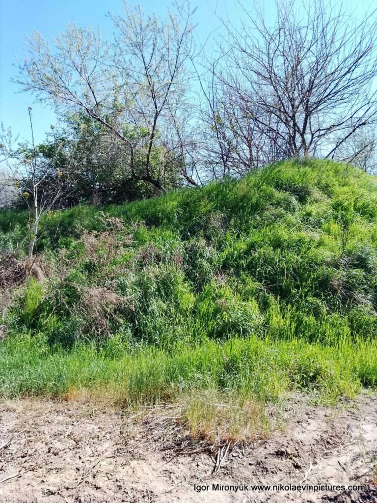 Возле Матвеевского перехода есть небольшой холм, заросший травой и деревьями.