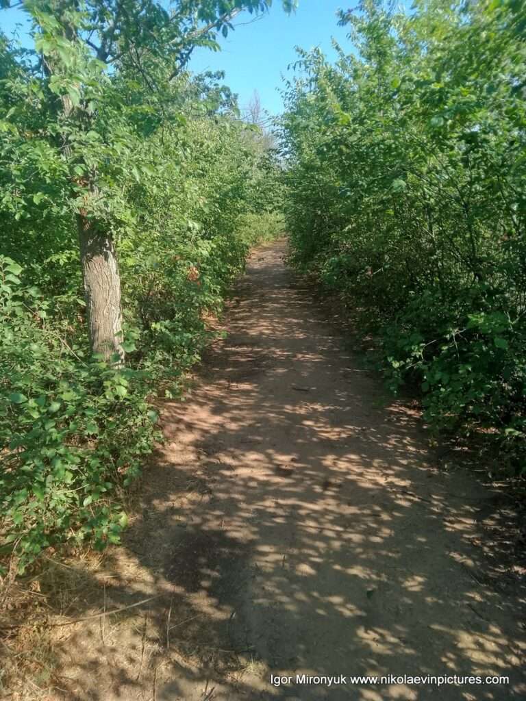В Николаеве, на Перегоне, находится парк "Дружба".