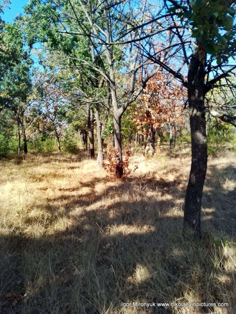 В Николаеве, на Перегоне, находится парк "Дружба".