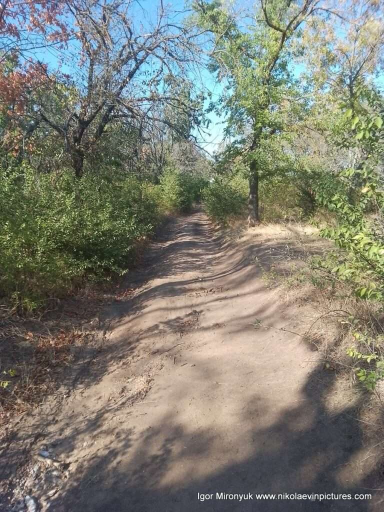 В Николаеве, на Перегоне, находится парк "Дружба".
