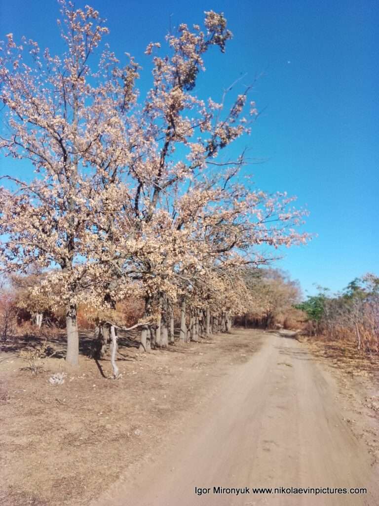 В Николаеве, на Перегоне, находится парк "Дружба".