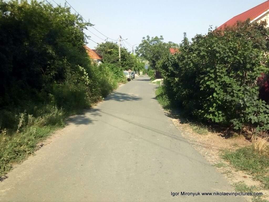 Переулок Звёздный в Соляных, Николаев.