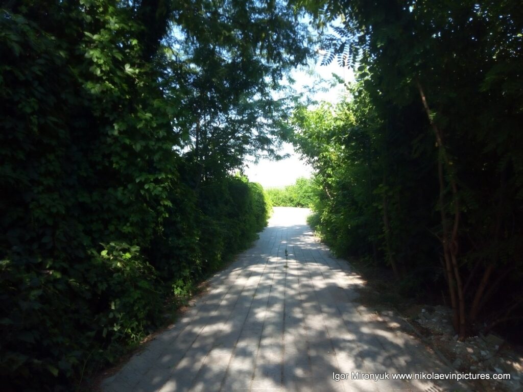 Переулок Звёздный в Соляных, Николаев.