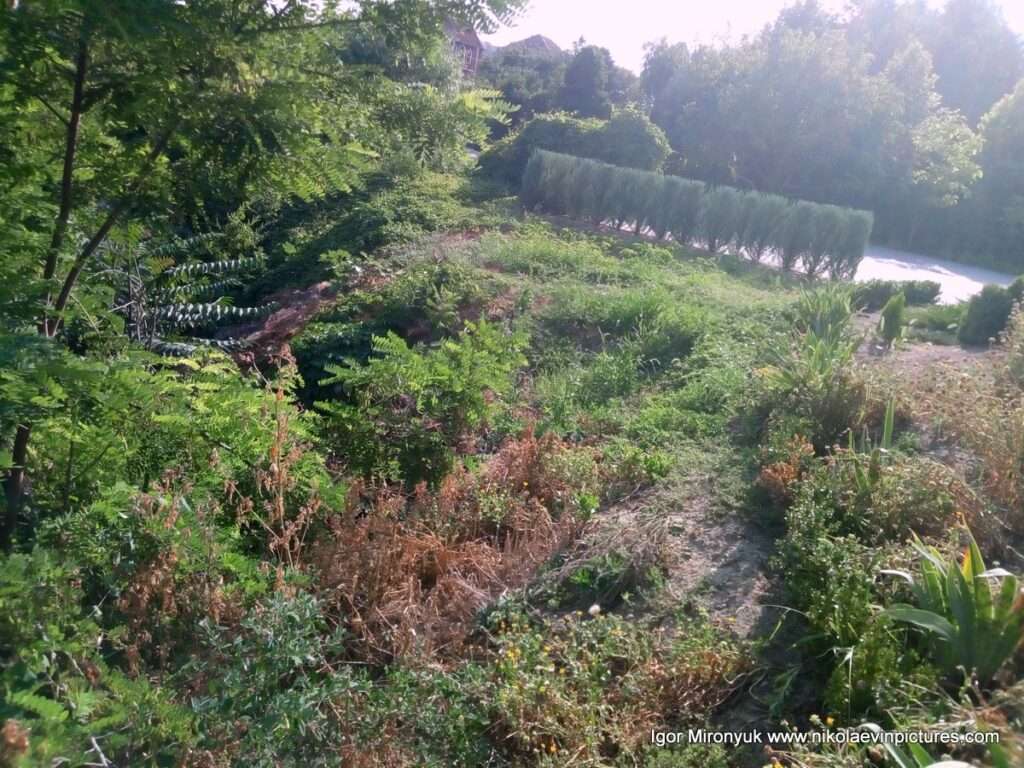 Там заканчивается переулок Звёздный в Соляных, в Николаеве.