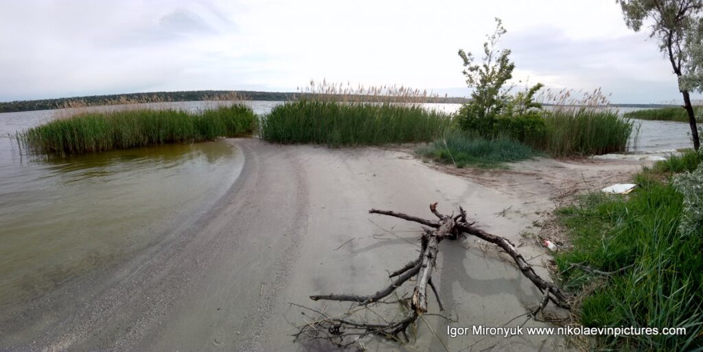 В конце Лесковской косы в Николаеве есть уединённый пляж. Я его назвал "Пляж одиноких".
