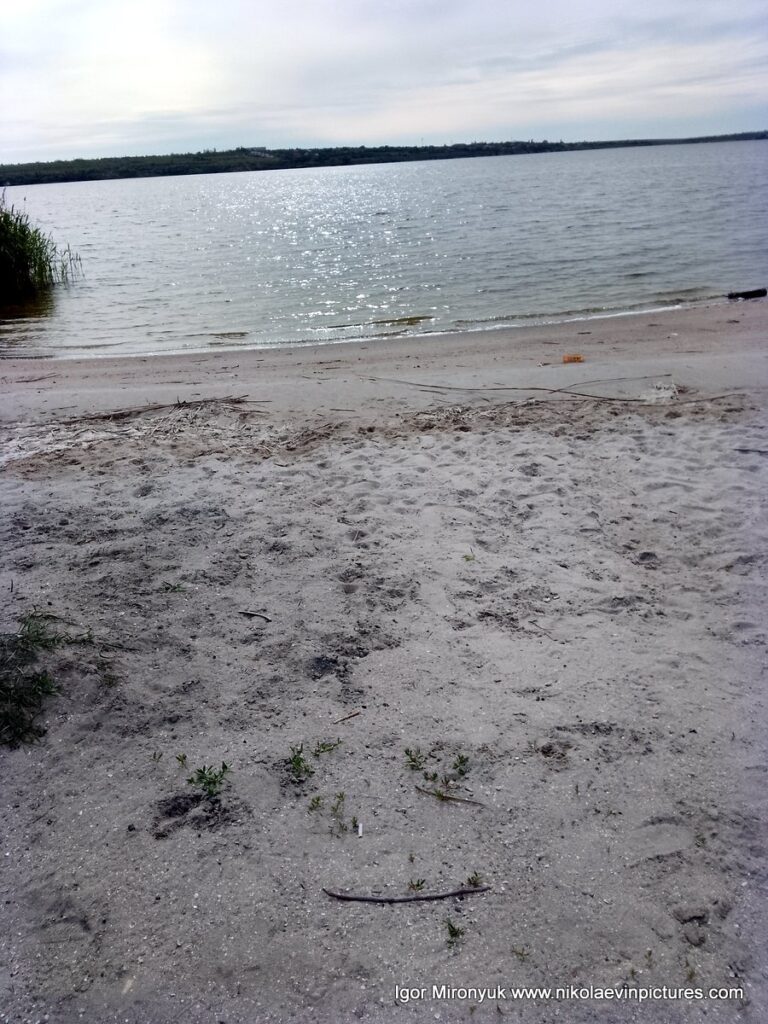 Перед Лесковской косой в Николаеве есть пляж.