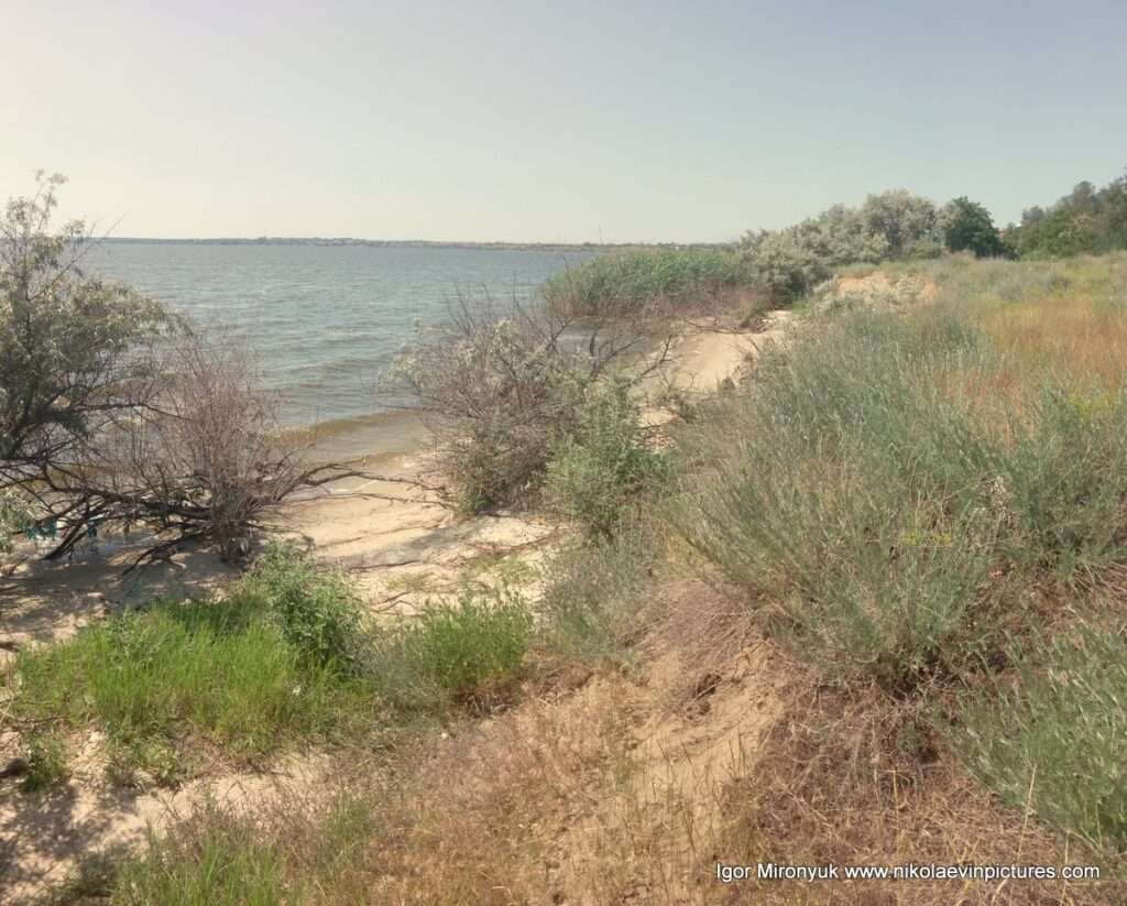 Пляжи в Соляных, в Николаеве. Я называю всё это место "Скала 6".