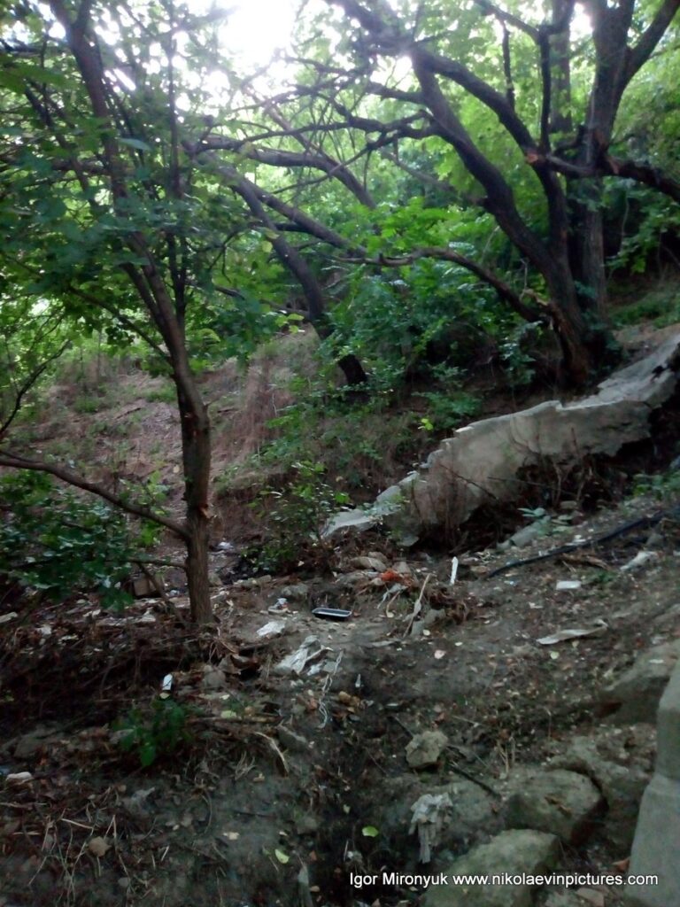 Камни, земля и деревья - это то, что находится по сторонам от лестницы в Соляных.