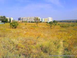 Этот пустырь находится за микрорайоном Северный в Николаеве. Название этого пустыря - Порожнеча.