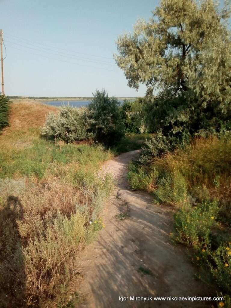 Спуск на берег Порожнечи в Николаеве.