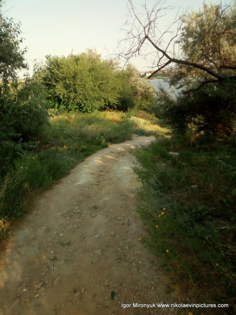 Спуск на берег Порожнечи в Николаеве.