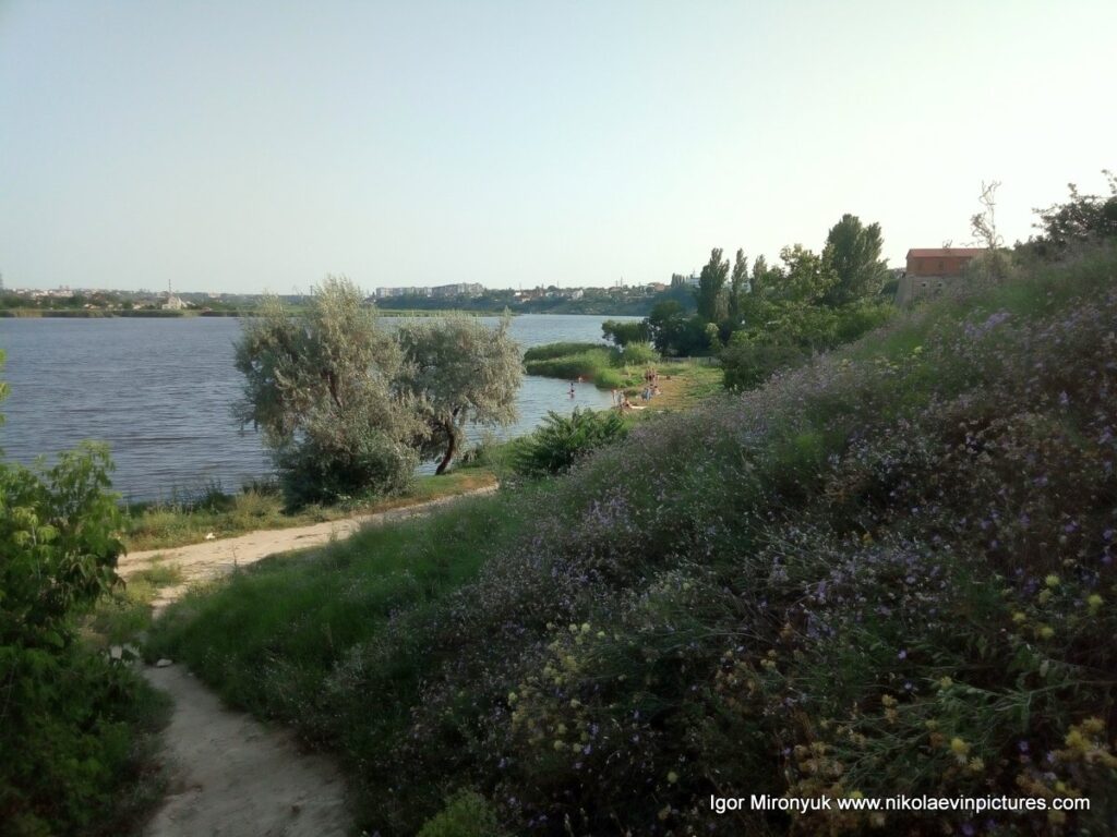 Спуск на берег Порожнечи в Николаеве. Пейзаж на зелёный берег и речку в Николаеве.