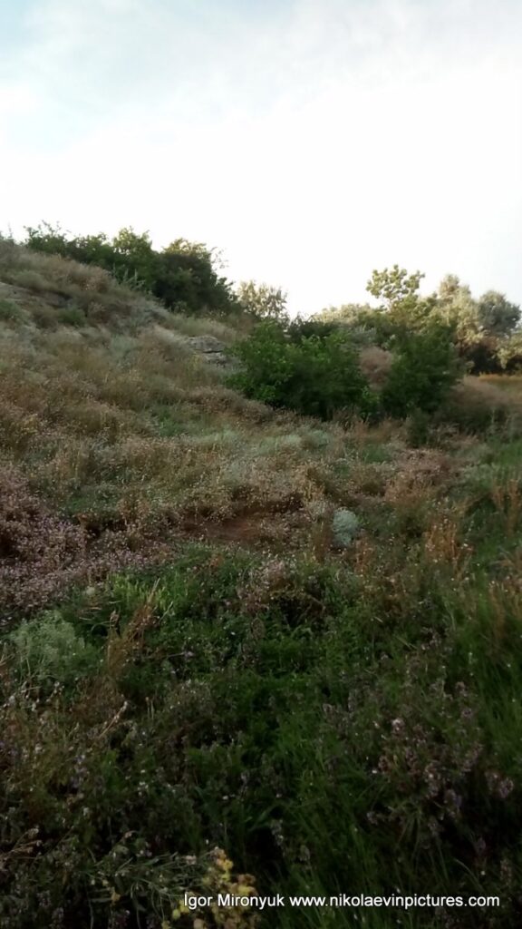 Скалы Порожнечи в Николаеве.