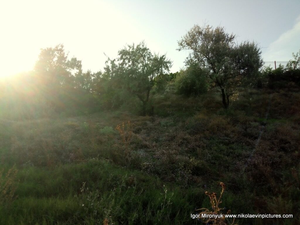 Скалы Порожнечи в Николаеве.