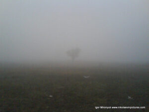 Туман в Порожнече - пустыре за Северным, в Николаеве.