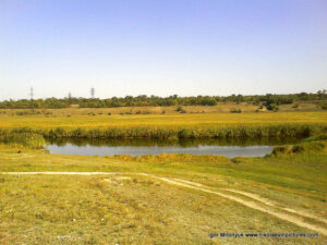 От реки Ингул в сторону Терновки протекает канал, заросший камышами, но его можно увидеть со стороны Порожнечи.
