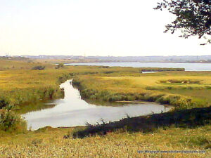 Берега Порожнечи обросли камышами, внутри которых есть водные акватории.