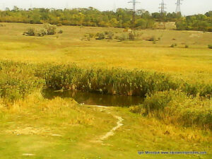 От реки Ингул в сторону Терновки протекает канал, заросший камышами, но его можно увидеть со стороны Порожнечи.