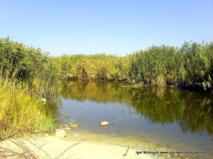 От реки Ингул в сторону Терновки протекает канал, заросший камышами, но его можно увидеть со стороны Порожнечи.