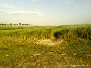 "Поле" между Порожнечей и камышами.