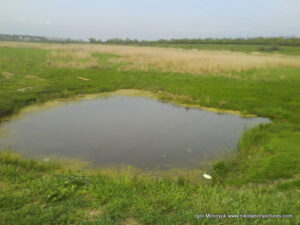 Болото в Порожнече