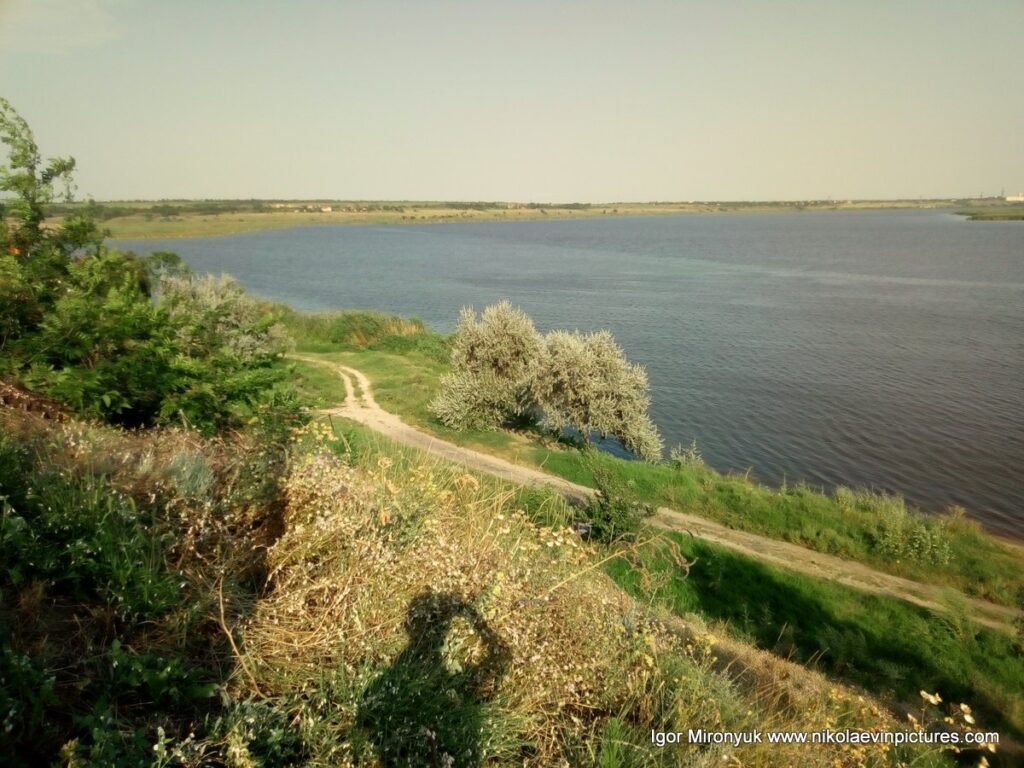 Пейзаж на зелёный берег и речку в Николаеве.