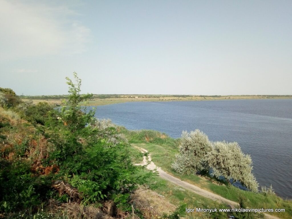 Пейзаж на зелёный берег и речку в Николаеве.