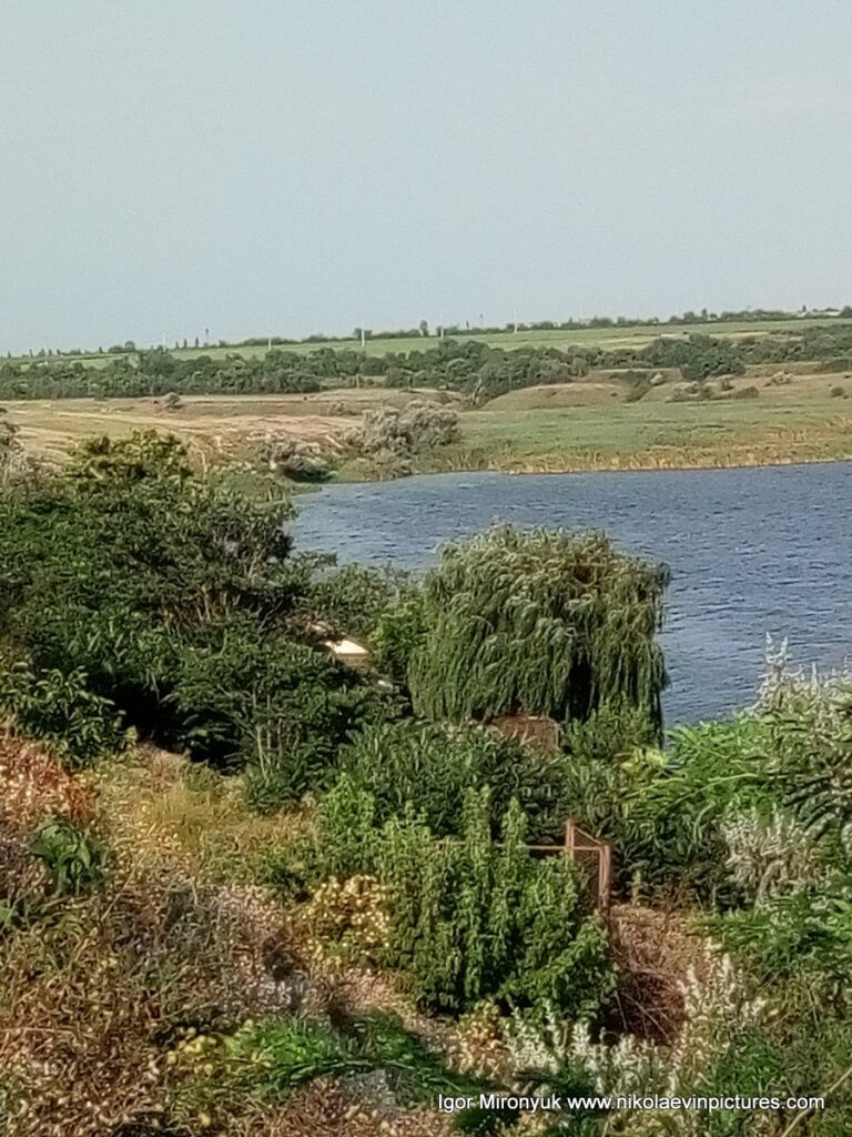 Красивое фото деревьев, реки и степи в Николаеве.