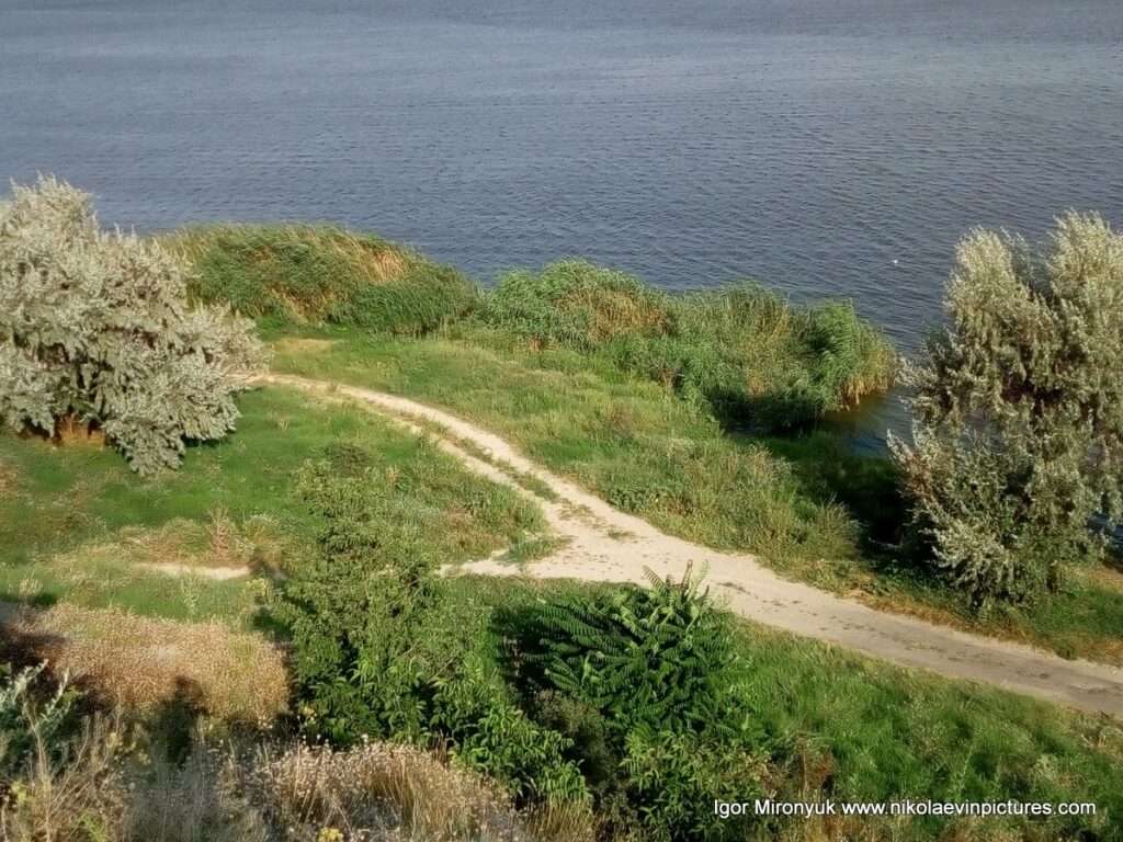 Зелёгный берег Порожнечи и речка в Николаеве.