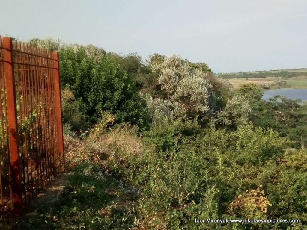 Забор на скале и деревья.