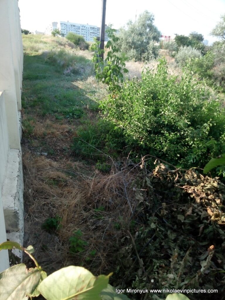 Я выхожу в Порожнечу.