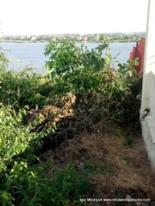 Вид на забор, кусты, деревья, реку Ингул и полуостров Ракетное Урочище в Николаеве.
