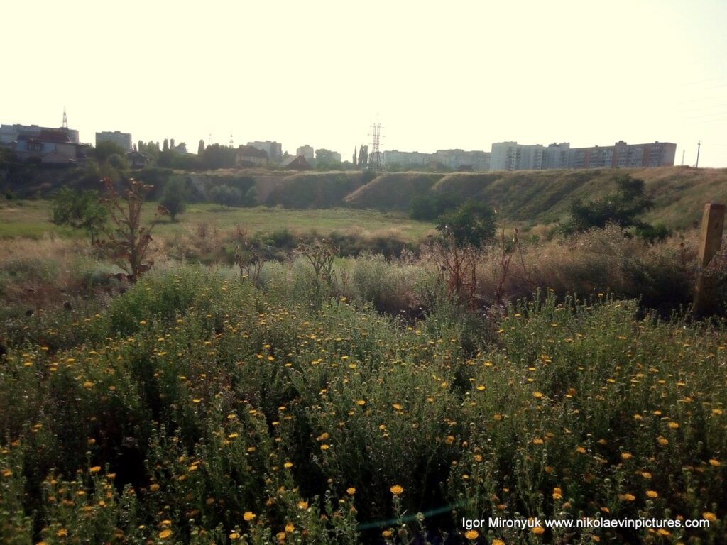 Фото лощины на северо-западе Порожнечи в Николаеве.