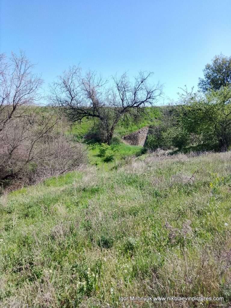 Природа Матвеевки