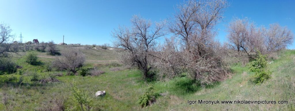 Природа Матвеевки в панораме