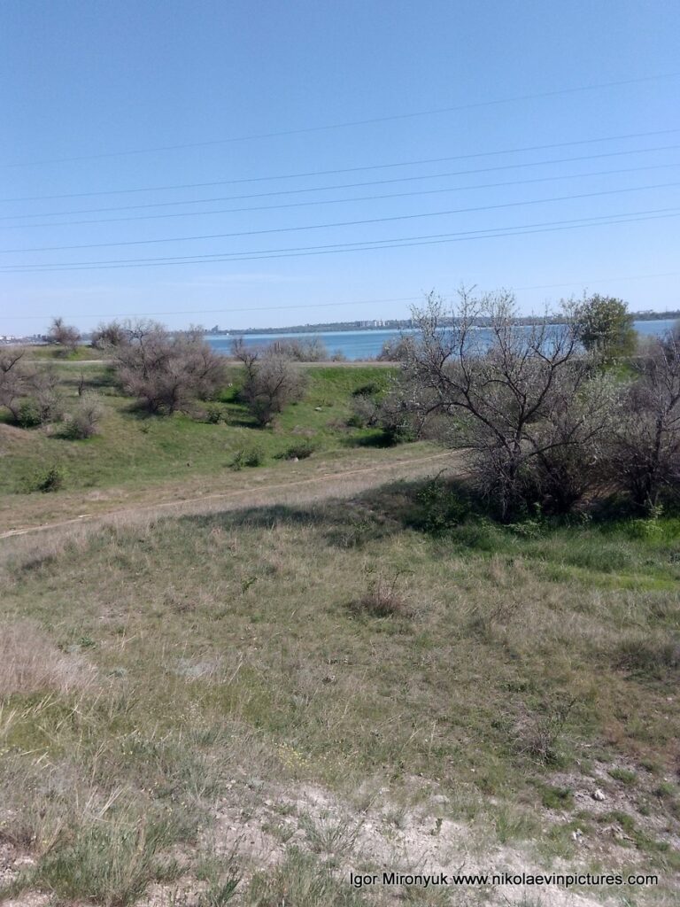 Природа Матвеевки