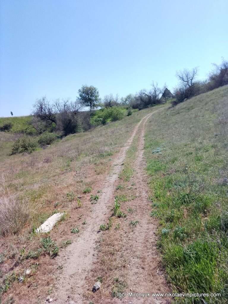 На фото видно грунтовую дорогу, пересекающую Матвеевские природные ландшафты.