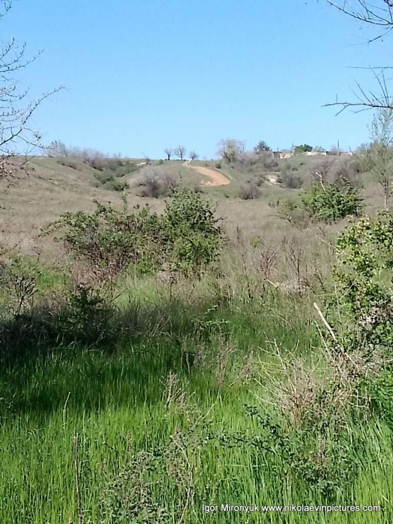 Природа Матвеевки