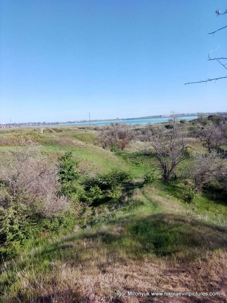 Природа Матвеевки