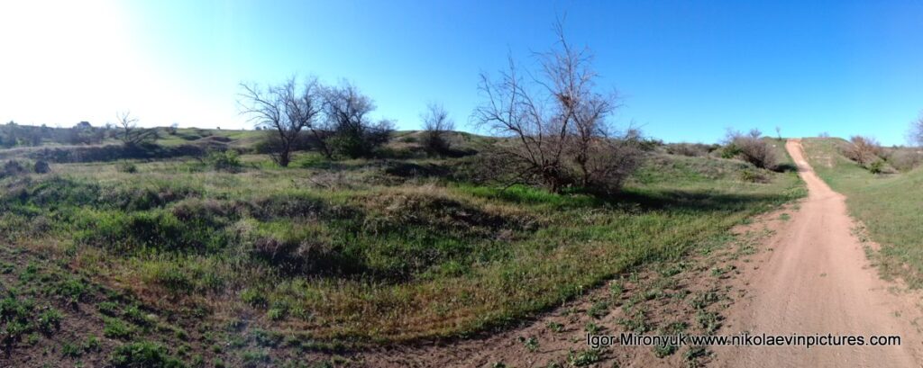 Это фото показывает насколько красивые природные ландшафты Матвеевки в Николаеве, и т акже грунтовую дорогу.