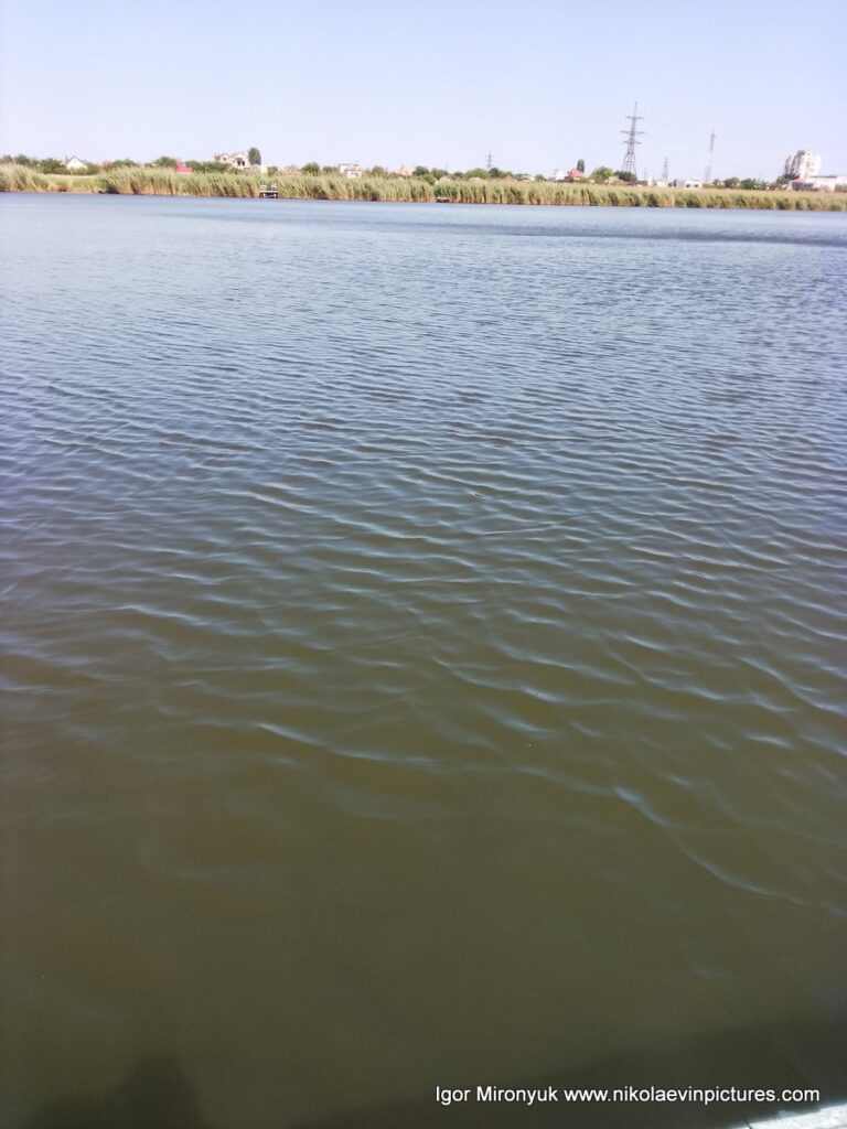 На фото речка Ингул и камыши Ракетного Урочища в Николаеве.