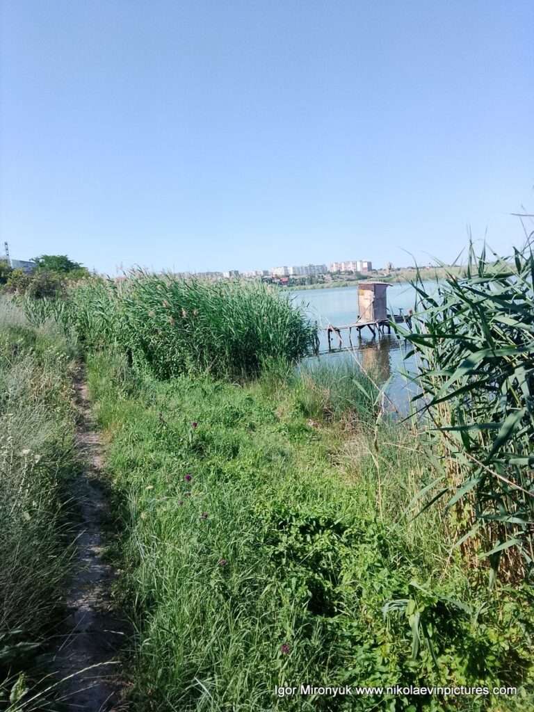 Рыбацкий мостик на Улице Скалистой в Соляных, в Николаеве.