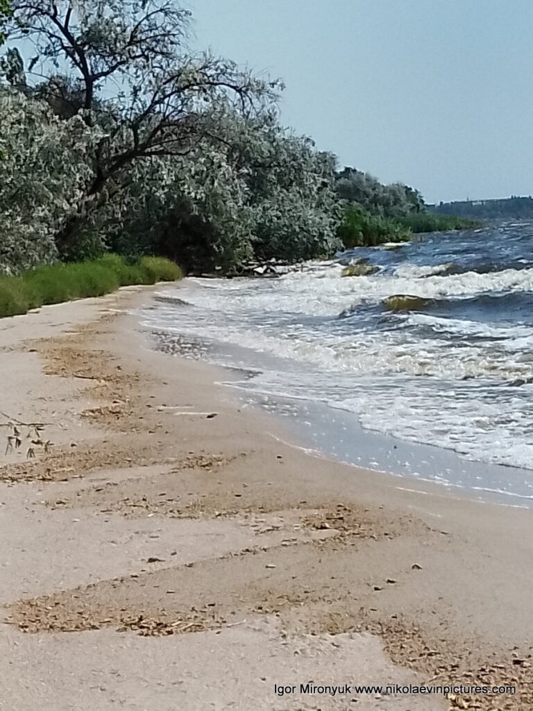 Начинается шторм.