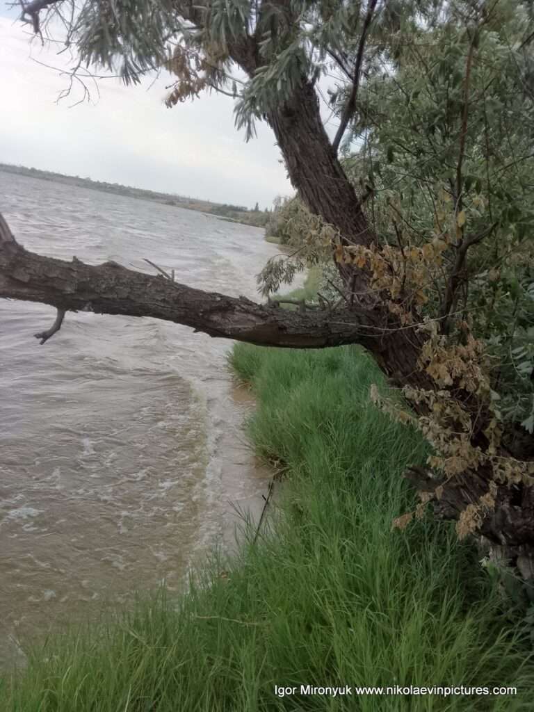Я ухожу с пляжа и долины Скала 6 во время шторма. Оглянулся назад, и увидел дерево, зелёную траву и воду, затопившую берег.