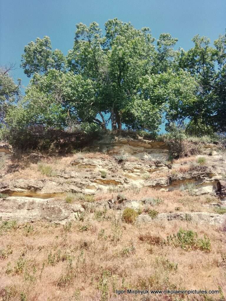 Скалы в Соляных, в Николаеве.